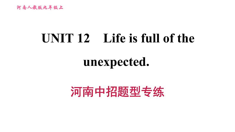 人教版九年级上册英语习题课件 Unit12 河南中招题型专练01