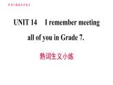 人教版九年级上册英语习题课件 Unit14 熟词生义小练