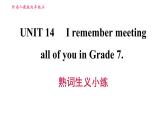 人教版九年级上册英语习题课件 Unit14 熟词生义小练