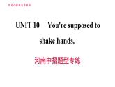 人教版九年级上册英语习题课件 Unit10 河南中招题型专练