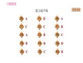 人教版九年级上册英语习题课件 Unit11 课时5　Section B (2a－2e)
