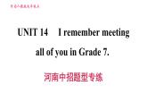 人教版九年级上册英语习题课件 Unit14 河南中招题型专练