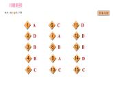 人教版九年级上册英语习题课件 Unit14 河南中招题型专练
