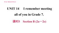 初中英语人教新目标 (Go for it) 版九年级全册Section B习题ppt课件