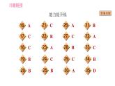 人教版九年级上册英语习题课件 Unit14 课时5　Section B (2a－2e)
