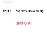人教版九年級上冊英語習題課件 Unit11 熟詞生義小練