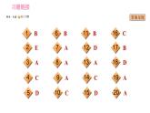 人教版九年級上冊英語習題課件 Unit11 河南中招題型專練