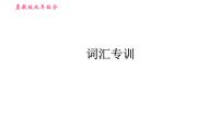 冀教版九年级全一册英语习题课件 专项训练之词汇专训