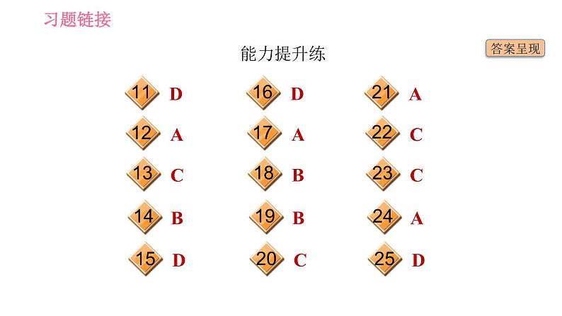 人教版九年级上册英语 Unit14 习题课件03