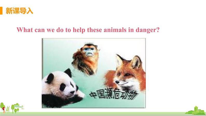 Unit2 The WWF is working hard to save them all第3页