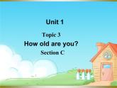 仁爱科普版初中英语七年级上册Unit 1 Topic 3 Section C课件PPT