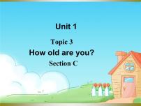 英语七年级上册Topic 3 How old are you?多媒体教学课件ppt