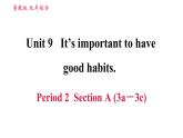 鲁教五四版九年级全一册英语习题课件 Unit9 Period 2 Section A (3a－3c)