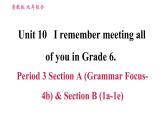 鲁教五四版九年级全一册英语习题课件 Unit10 Period 3 Section A(Grammar Focus-4b)& Section B (1a-1e)