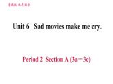 鲁教五四版九年级全一册英语习题课件 Unit6 Period 2 Section A (3a－3c)