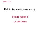鲁教五四版九年级全一册英语习题课件 Unit6 Period 5 Section B (3a－Self Check)