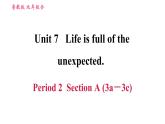 鲁教五四版九年级全一册英语习题课件 Unit7 Period 2 Section A (3a－3c)