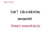 鲁教五四版九年级全一册英语习题课件 Unit7 Period 4 Section B (2a-2e)