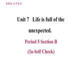 鲁教五四版九年级全一册英语习题课件 Unit7 Period 5 Section B (3a－Self Check)