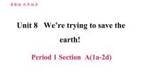 初中英语鲁教版 (五四制)九年级全册Unit 8   We’re trying to save the earth!综合与测试优质习题课件ppt