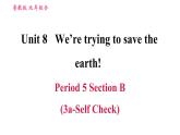 鲁教五四版九年级全一册英语习题课件 Unit8 Period 5 Section B (3a－Self Check)