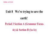 鲁教五四版九年级全一册英语习题课件 Unit8 Period 3 Section A(Grammar Focus-4c)& Section B (1a-1e)