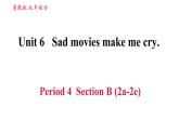 鲁教五四版九年级全一册英语习题课件 Unit6 Period 4 Section B (2a-2e)
