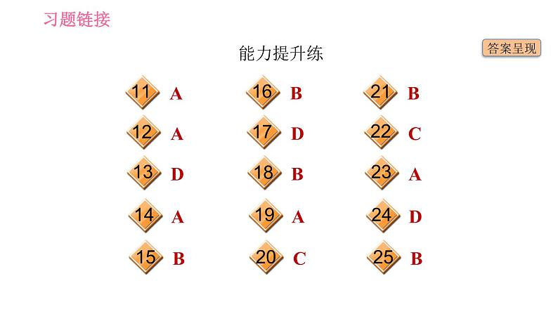 人教版九年级全册英语 Unit12 习题课件03