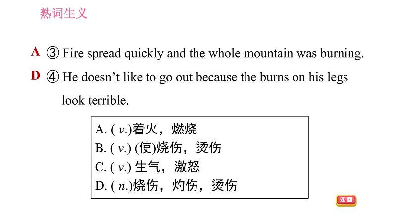 人教版九年级全册英语 Unit12 习题课件04