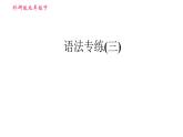 外研版九年级下册英语课件 中考专项训练 语法专练(三)