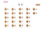 外研版九年级下册英语课件 中考专项训练 语法专练(一)