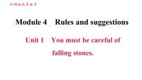 初中英语外研版 (新标准)九年级下册Unit 1 You must be careful of falling stones.图片课件ppt