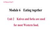 外研版九年級下冊英語 Module 6  習題課件
