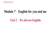 外研版九年级下册英语课件 Module 7 Unit 2 We all own English1