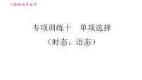 人教版九年级下册英语 期末专训 习题课件