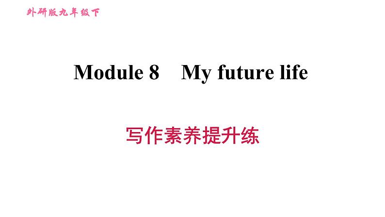 外研版九年级下册英语 Module 8  习题课件01