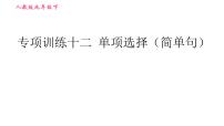 人教版九年级下册英语课件 期末专训 专项训练十二 单项选择（简单句）