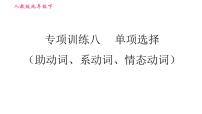 人教版九年级下册英语课件 期末专训 专项训练八 单项选择（助动词、系动词、情态动词）