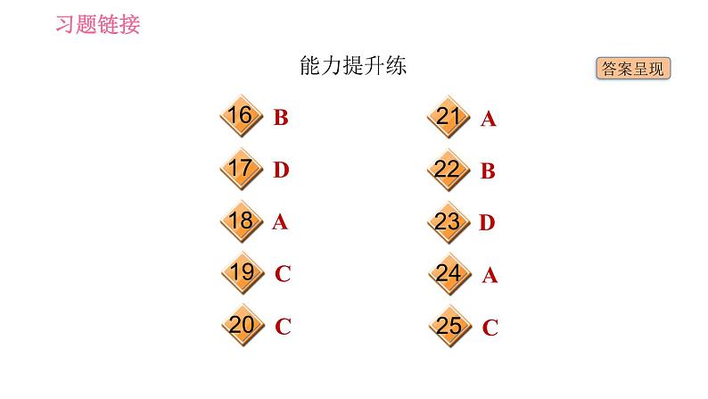 人教版九年级下册英语 Unit12 习题课件03