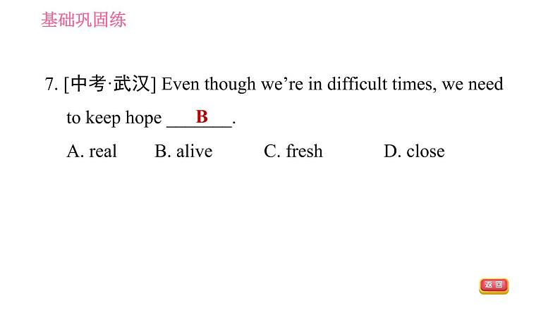 人教版九年级下册英语 Unit12 习题课件07