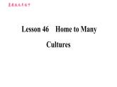 冀教版九年级下册英语课件 Unit 8 Lesson 46 Home to Many Cultures