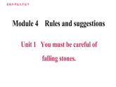 外研版九年级下册英语课件 Module 4 Unit 1 You must be careful of falling stones
