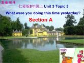 仁爱科普版八年级上 Unit3 Topic 3 Section A公开教学课件 (共39张PPT)