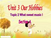 仁愛科普版初中英語八年級上Unit 3 Topic 2 Section A課件