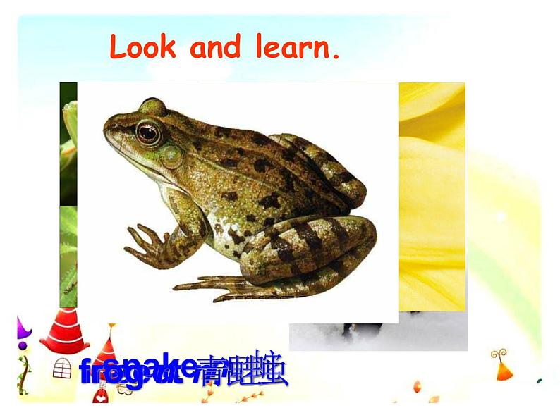 仁爱科普版初中英语八年级上Unit 4 Topic 1 Section B 课件03