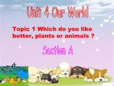 仁愛科普版初中英語八年級上Unit 4 Topic 1 Section A課件