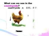 仁愛科普版初中英語八年級上Unit 4 Topic 1 Section A課件