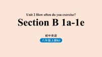 八年级上册Section B课前预习ppt课件