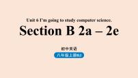 人教新目标 (Go for it) 版八年级上册Section B多媒体教学ppt课件