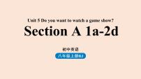 2021学年Unit 5 Do you want to watch a game show?Section A教课内容课件ppt